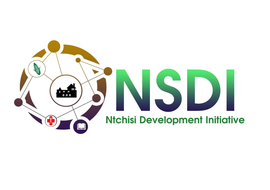 nsdi logo